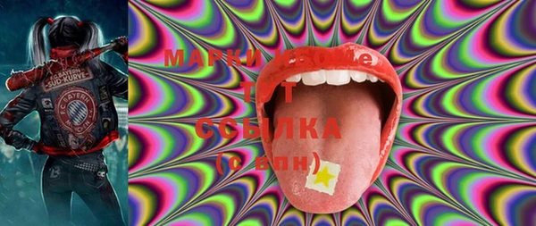 дмт Новозыбков