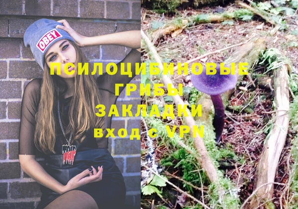 Альфа ПВП Новодвинск